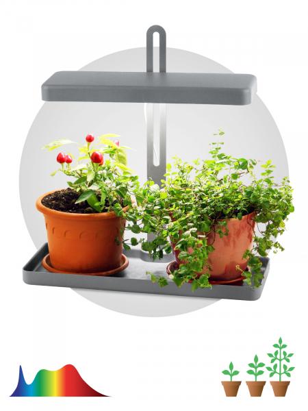 Светильник ЭРА FITO-20W-QLED-G настольный для грунта